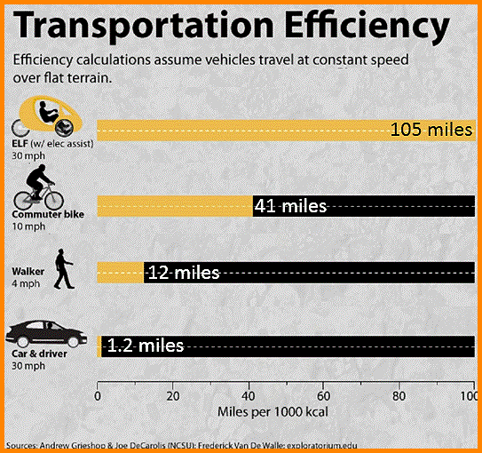 Transportation Efficiency