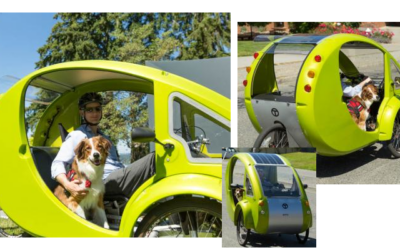 The Story of a Man, His Dog, and the Awesome Commute They Share